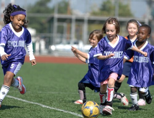 CPP 06-2020- NIE- 3ª Edição (ICMS 2020)